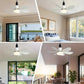 🔥Letzter Tag: 60% Rabatt!⏰🍃 Intelligenter Deckenventilator mit Licht, RGB-Beleuchtung und Bluetooth-Lautsprecher♨️❄️